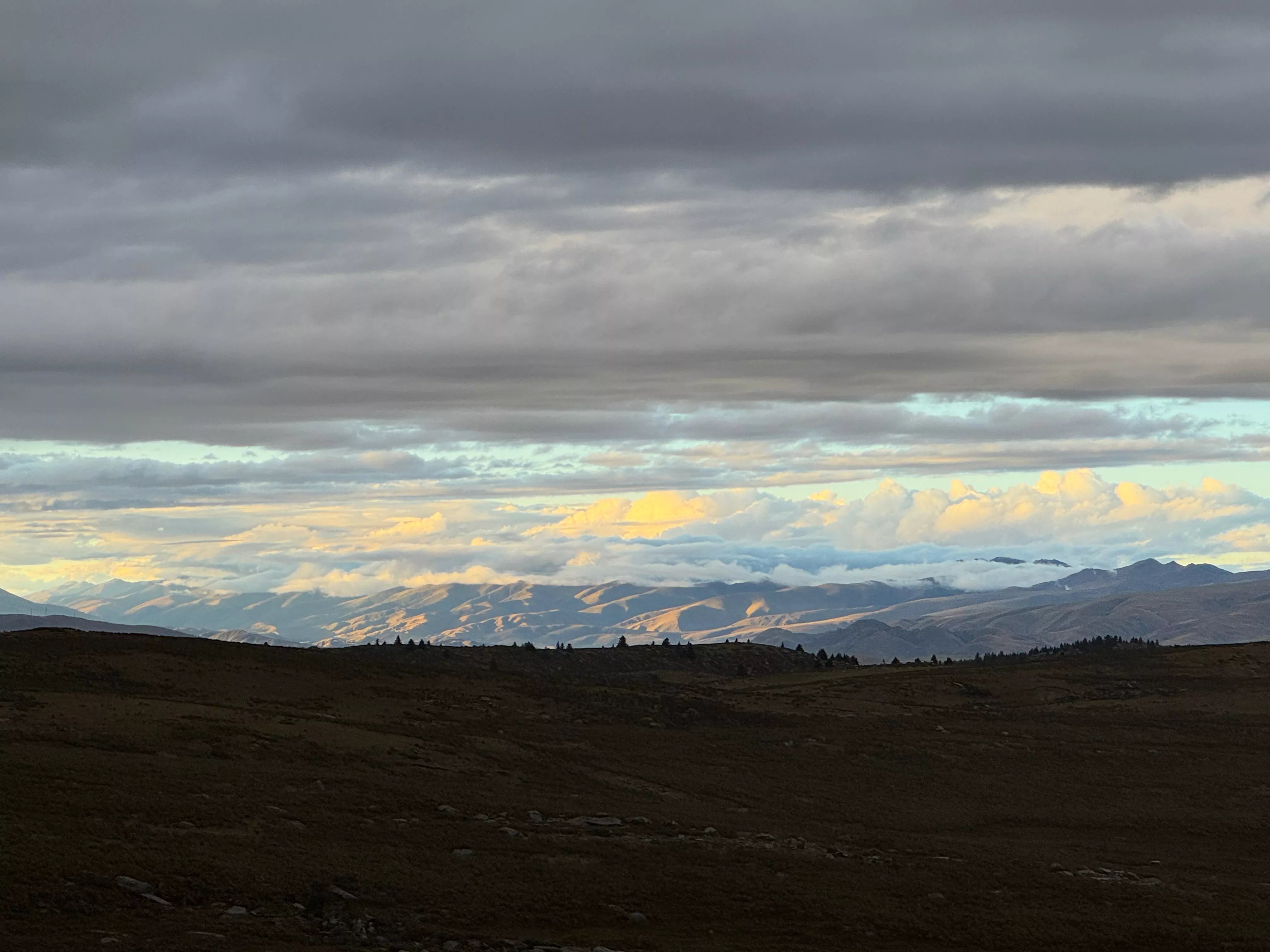 鱼子西有一点日照金山的样子，但不多